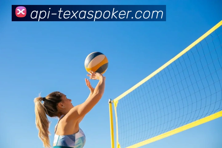 德州扑克平台生态图